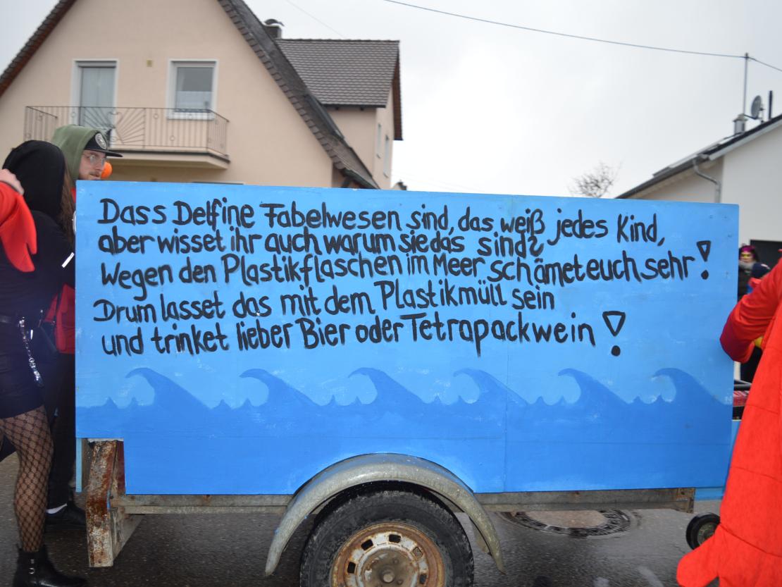 Faschingsumzug Oberndorf 2019