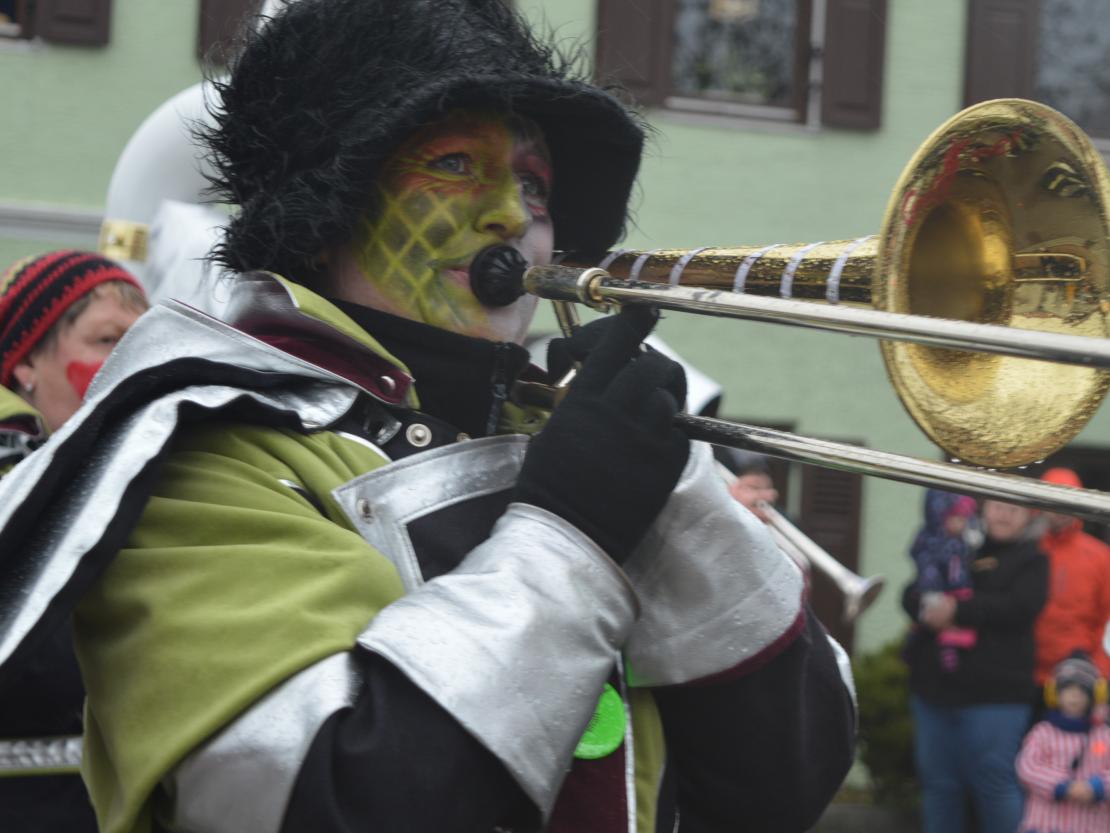 Faschingsumzug Oberndorf 2019