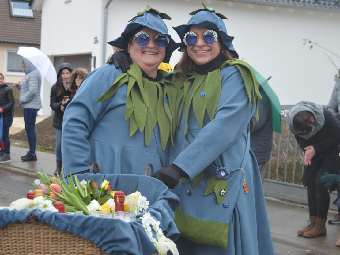 Faschingsumzug Oberndorf 2019