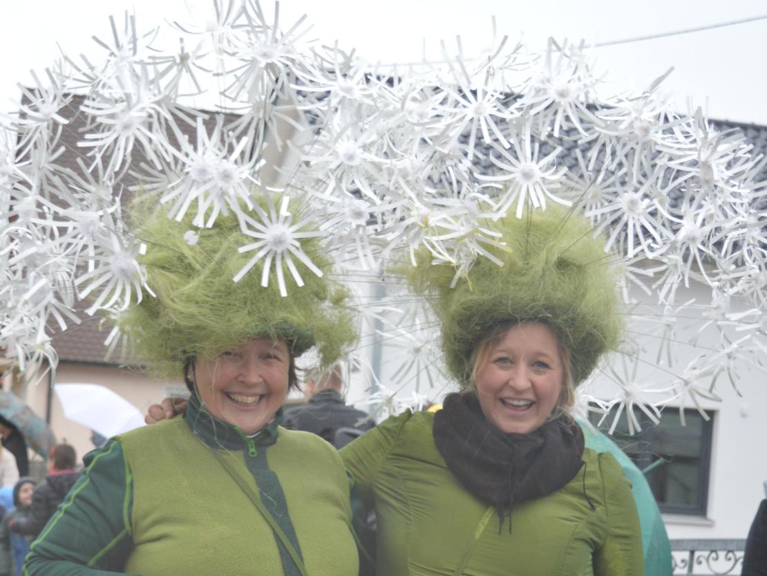 Faschingsumzug Oberndorf 2019