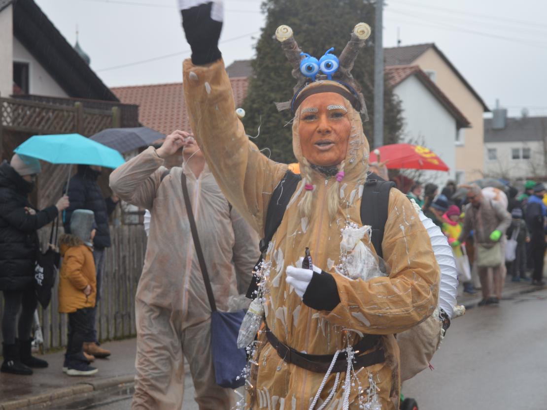 Faschingsumzug Oberndorf 2019