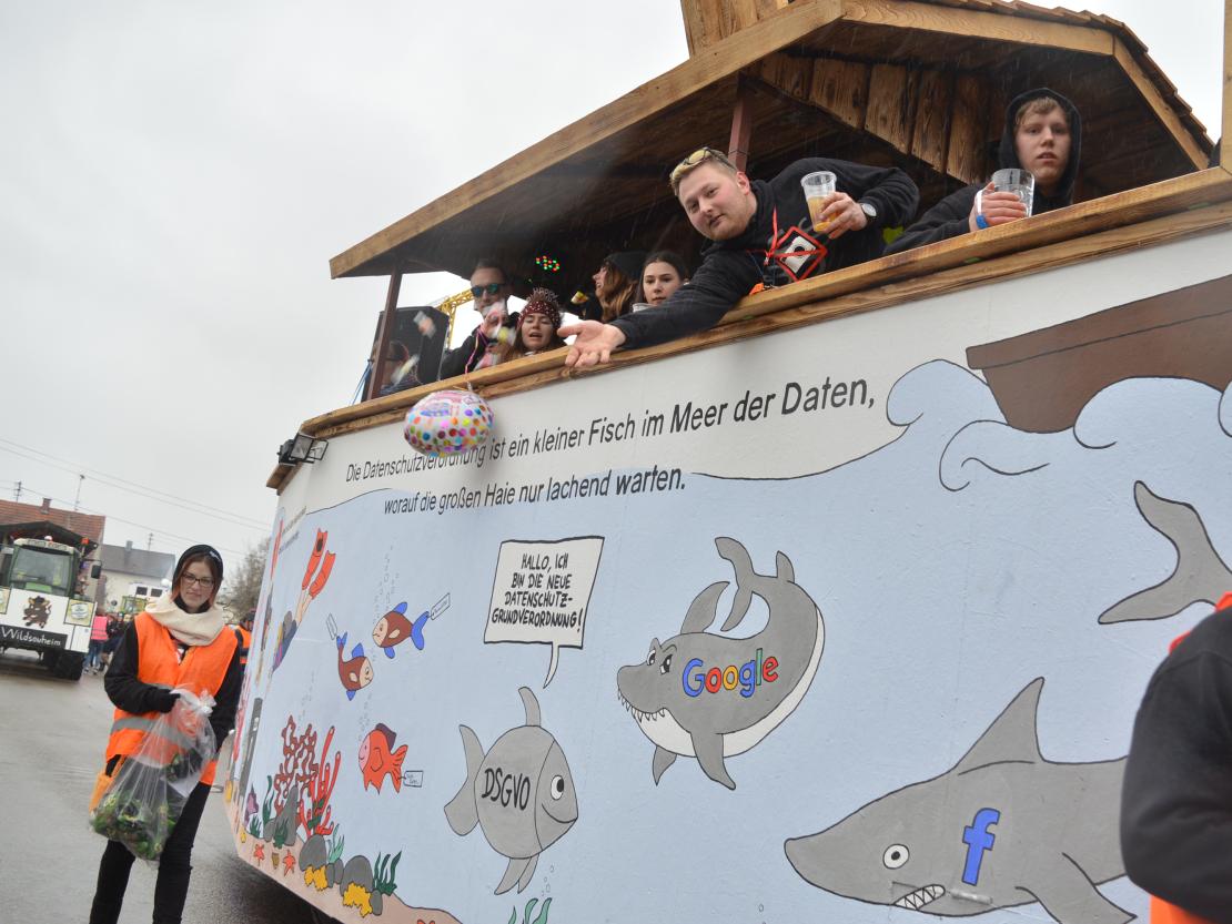 Faschingsumzug Oberndorf 2019