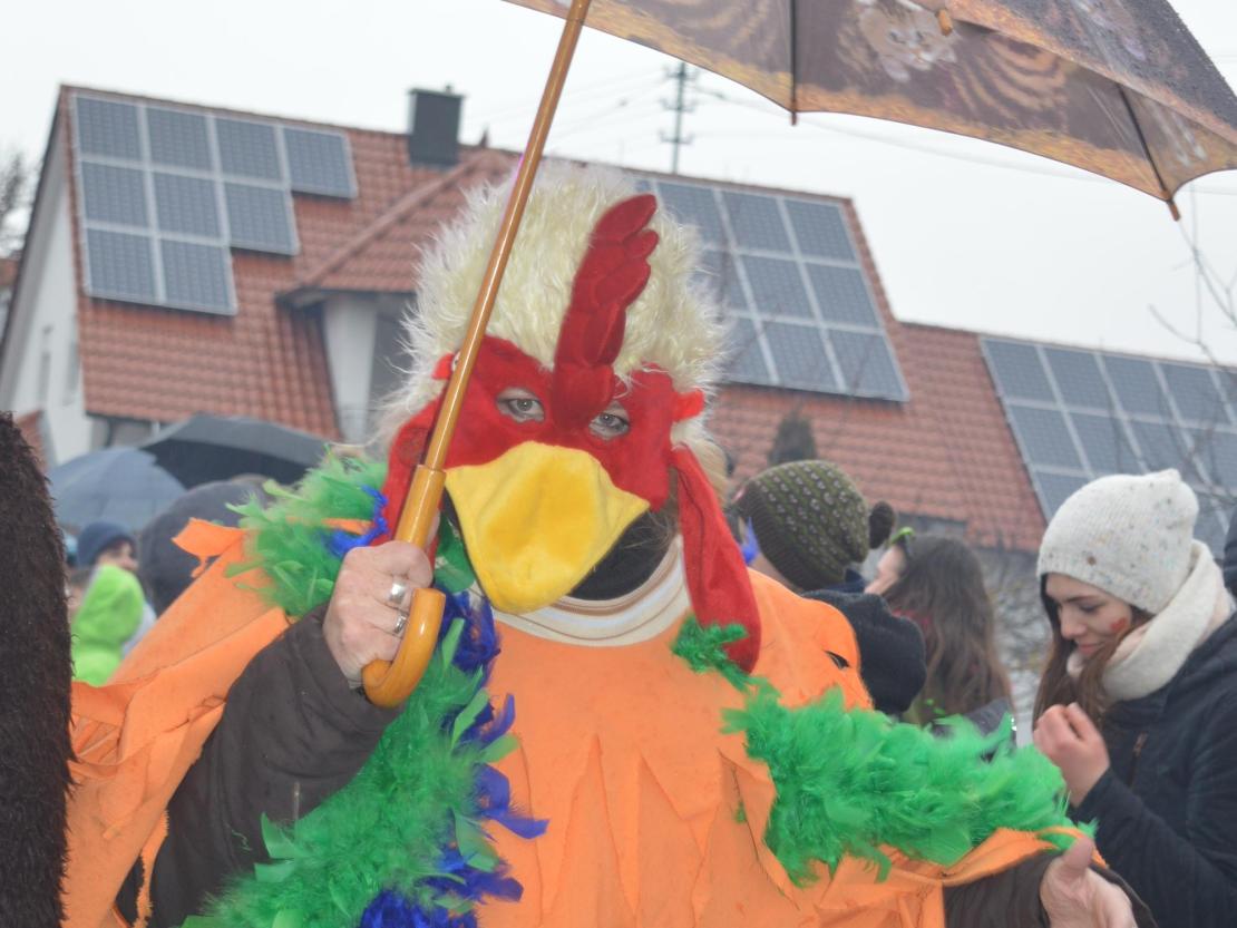 Faschingsumzug Oberndorf 2019