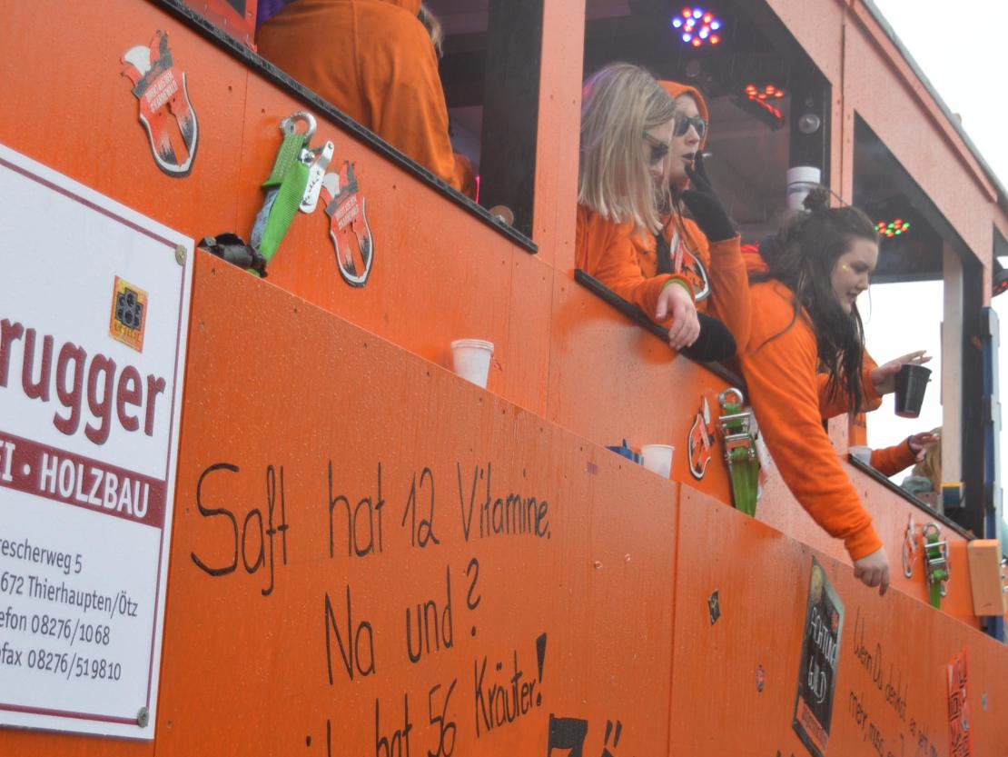 Faschingsumzug Oberndorf 2019