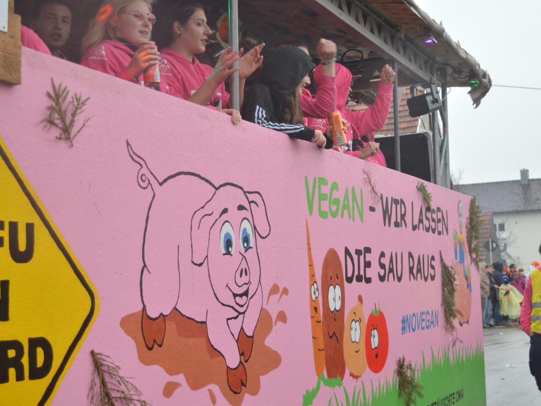 Faschingsumzug Oberndorf 2019