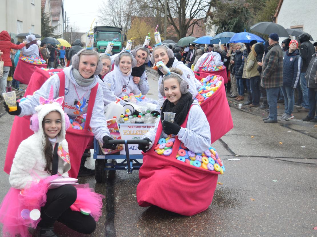 Faschingsumzug Oberndorf 2019
