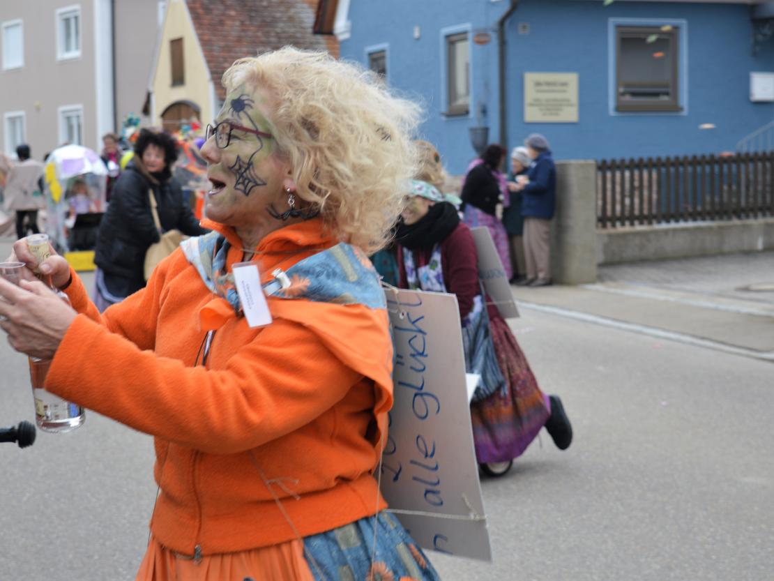Faschingsumzug Hafenreut 2019