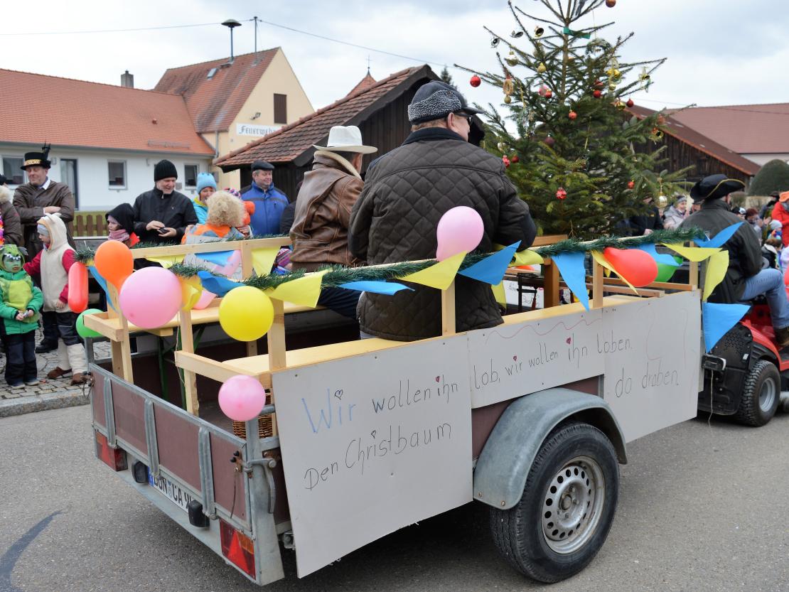 Faschingsumzug Hafenreut 2019