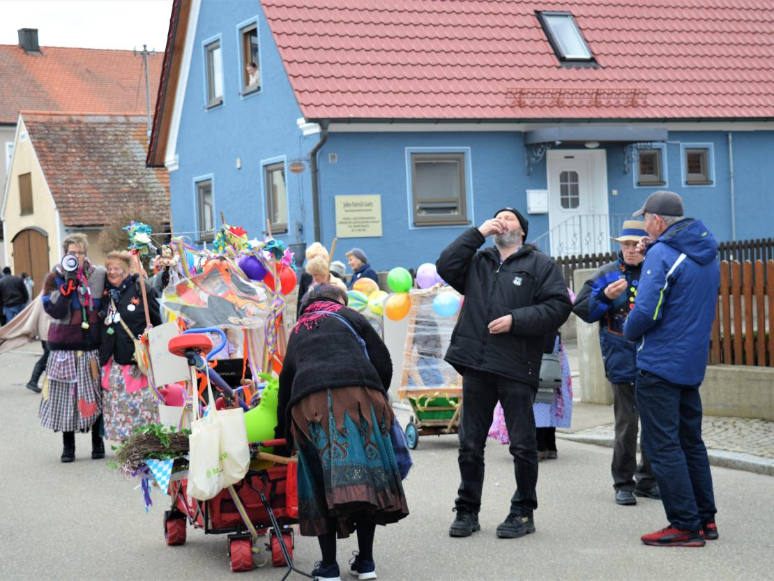 Faschingsumzug Hafenreut 2019