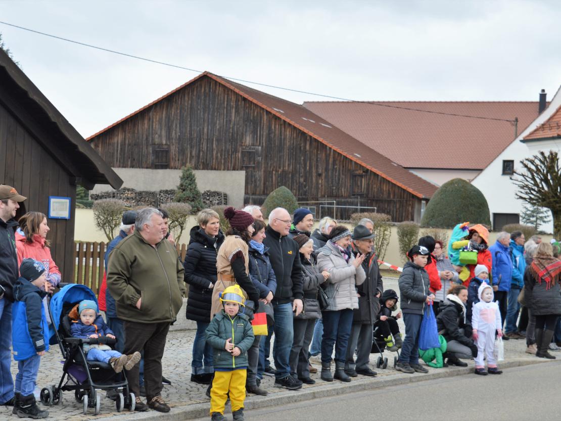 Faschingsumzug Hafenreut 2019