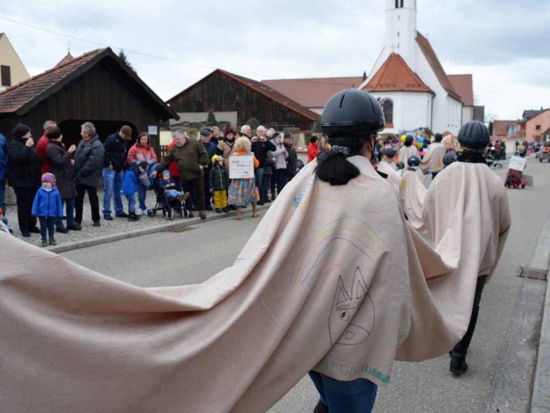 Faschingsumzug Hafenreut 2019