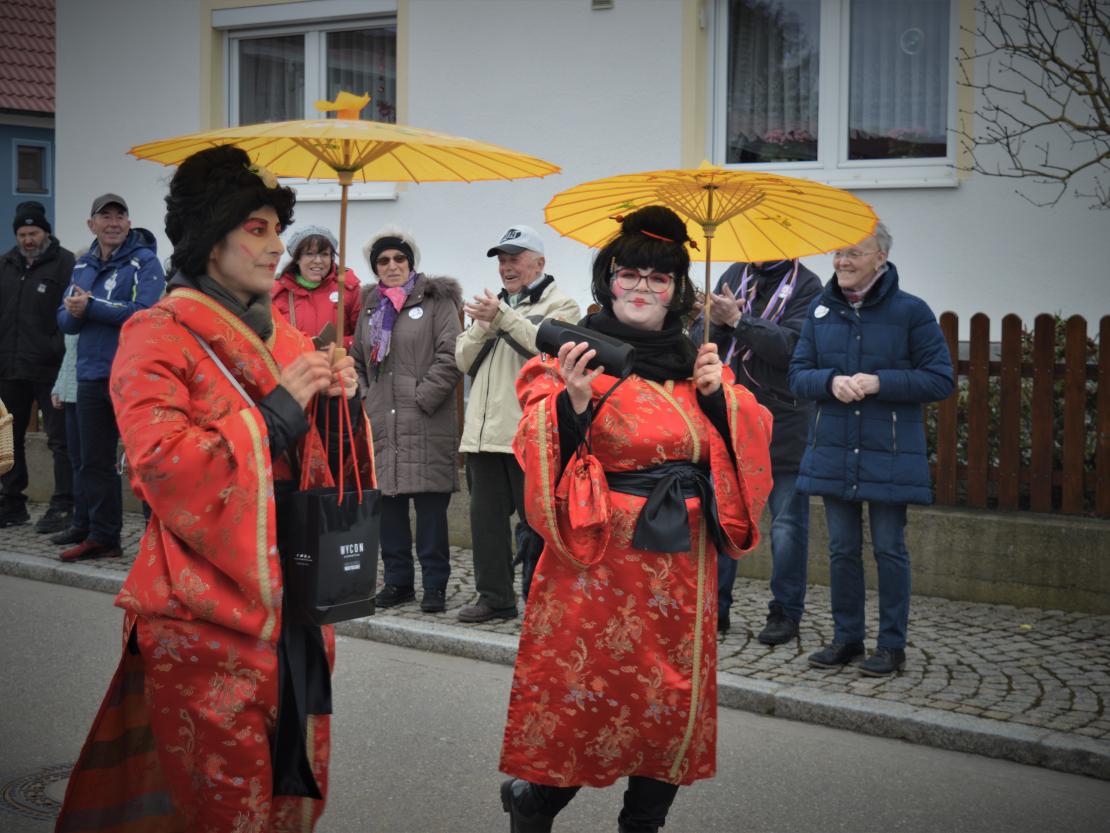 Faschingsumzug Hafenreut 2019