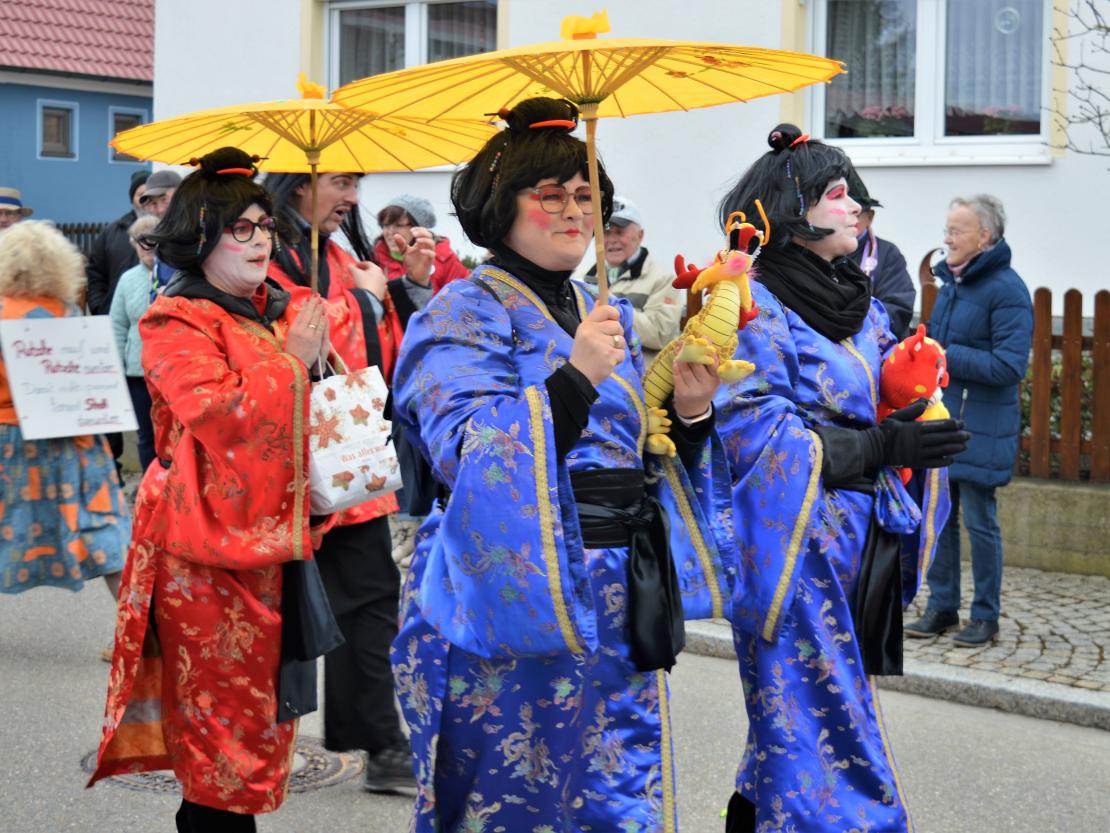 Faschingsumzug Hafenreut 2019