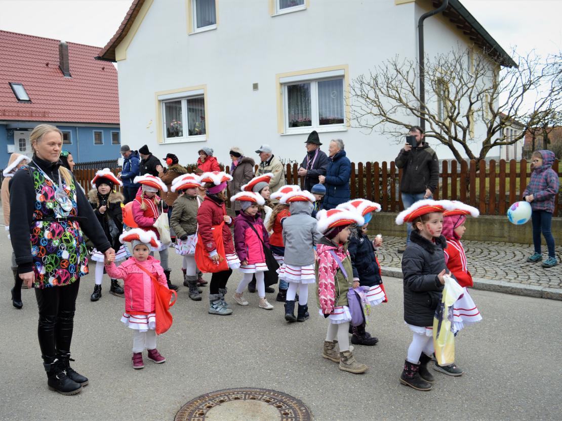 Faschingsumzug Hafenreut 2019