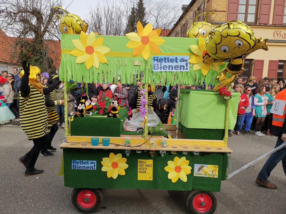 Umzug Megesheim 2019