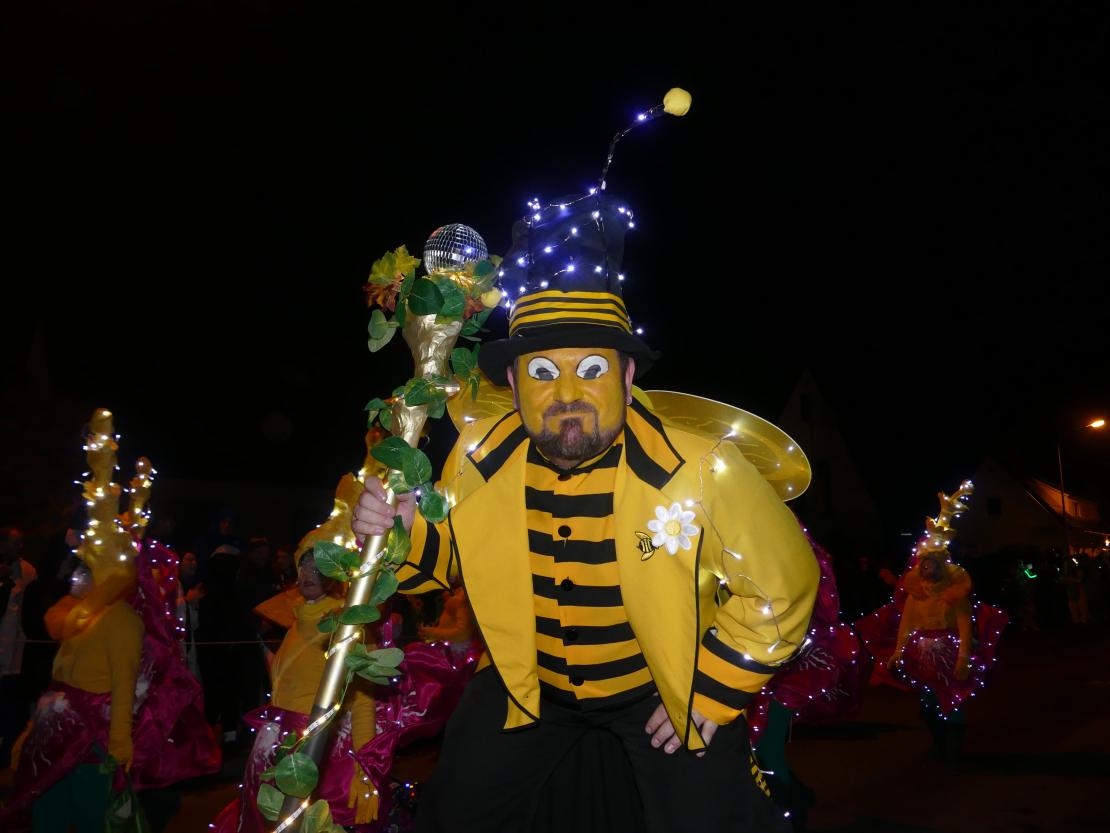 Nachtumzug Bäumenheim 2019