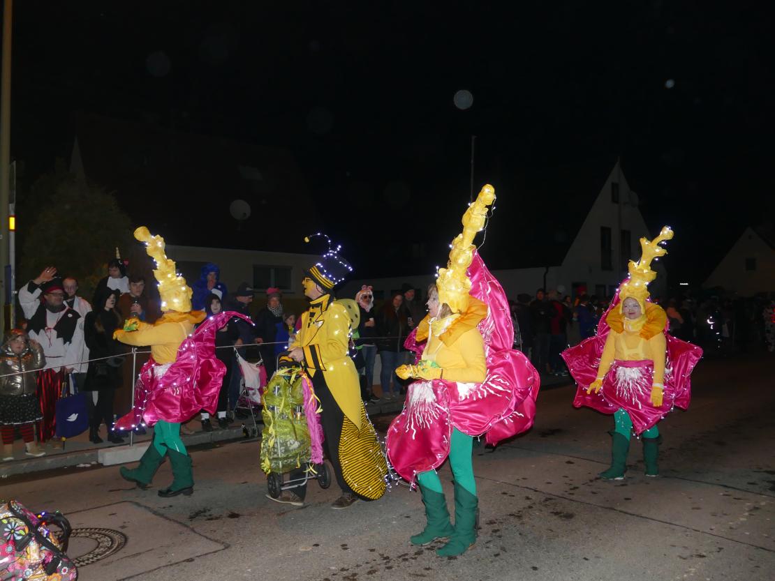 Nachtumzug Bäumenheim 2019