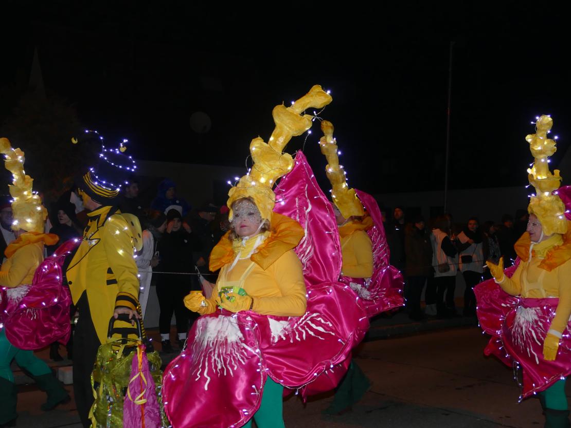 Nachtumzug Bäumenheim 2019