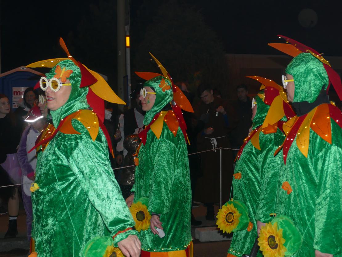 Nachtumzug Bäumenheim 2019