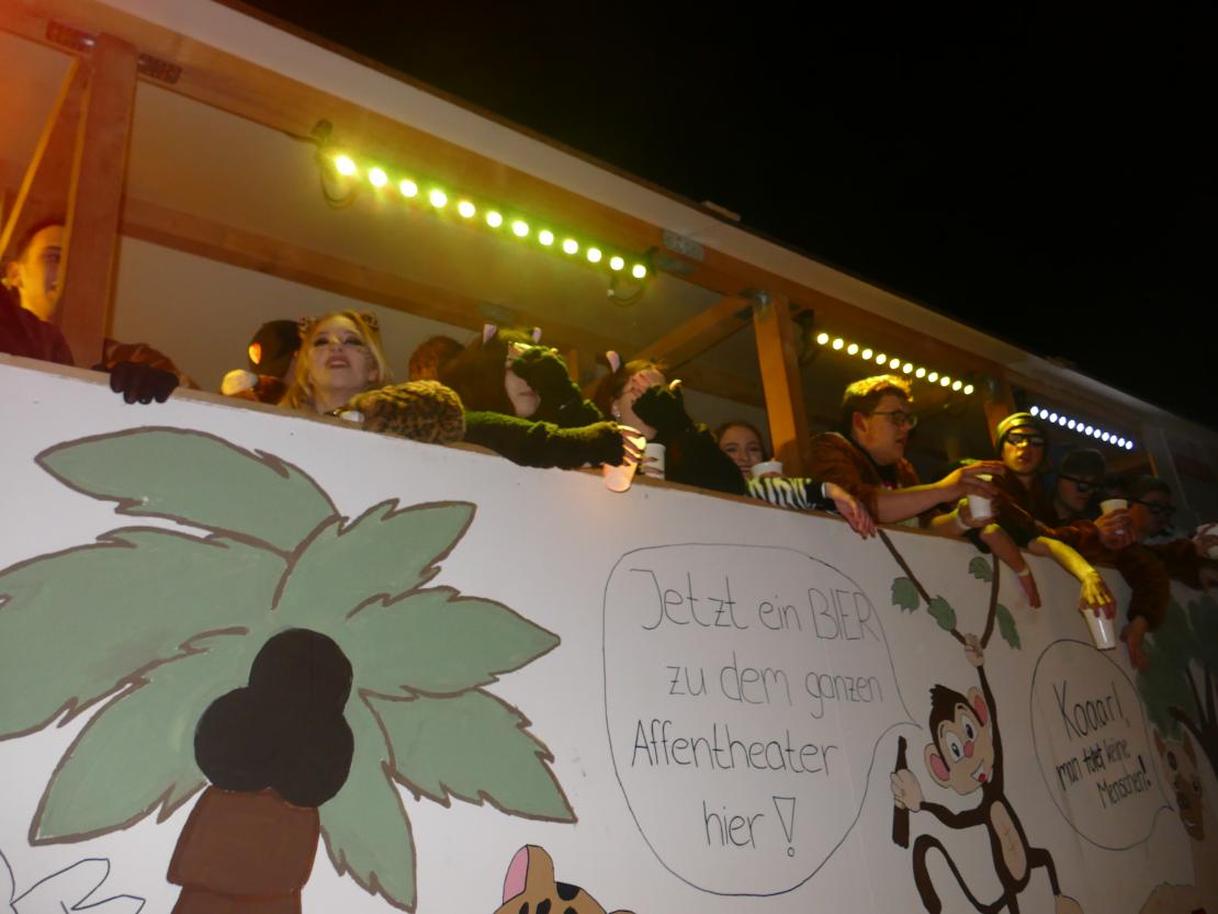 Nachtumzug Bäumenheim 2019