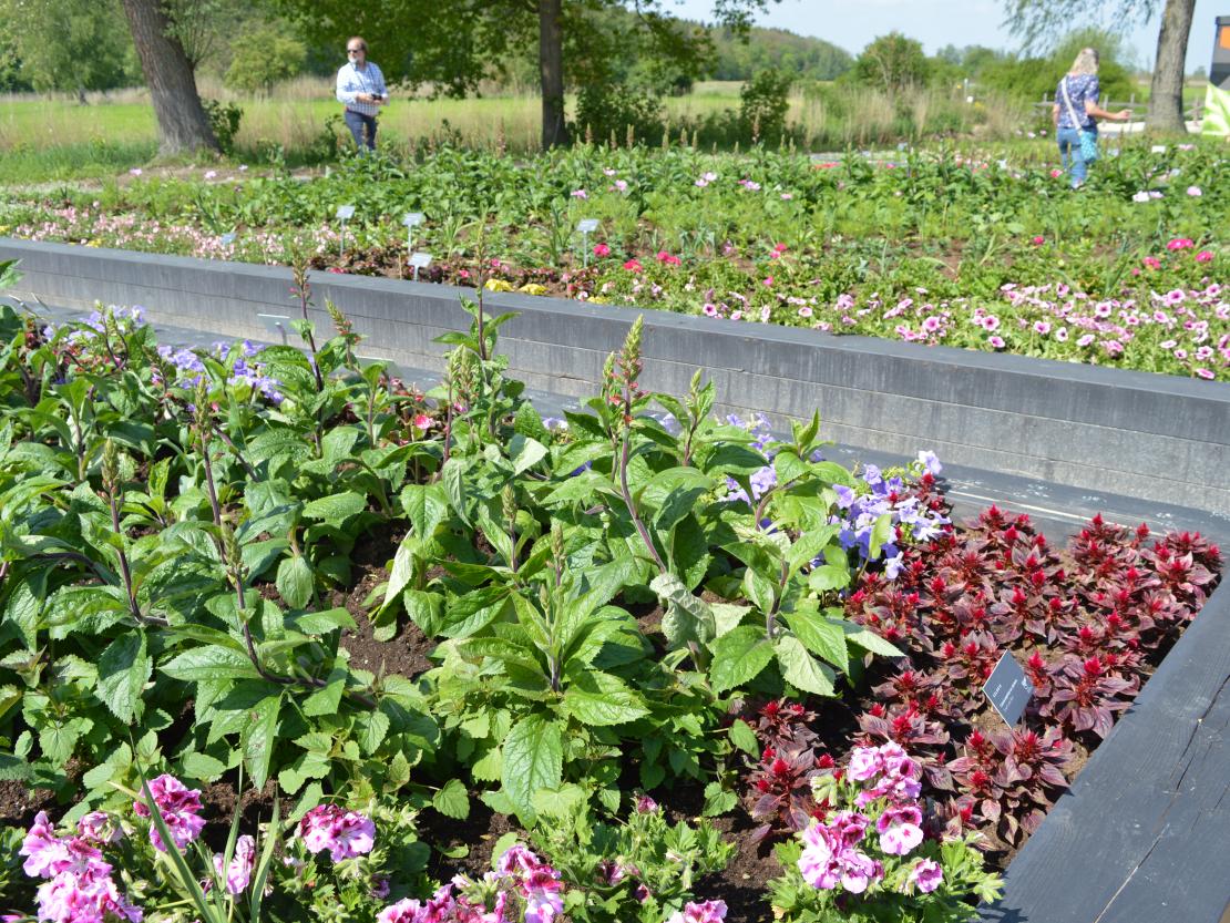 Landesgartenschau Wassertrüdingen