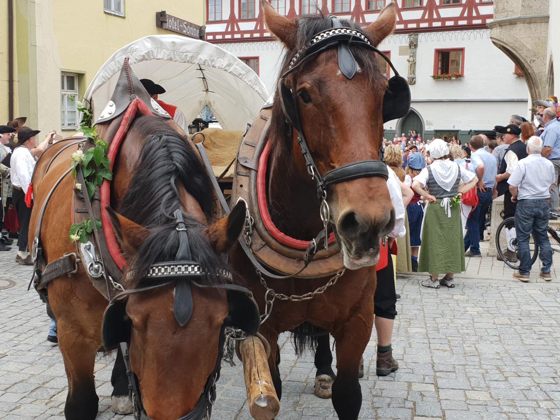Kaufmannszug Nördlingen 