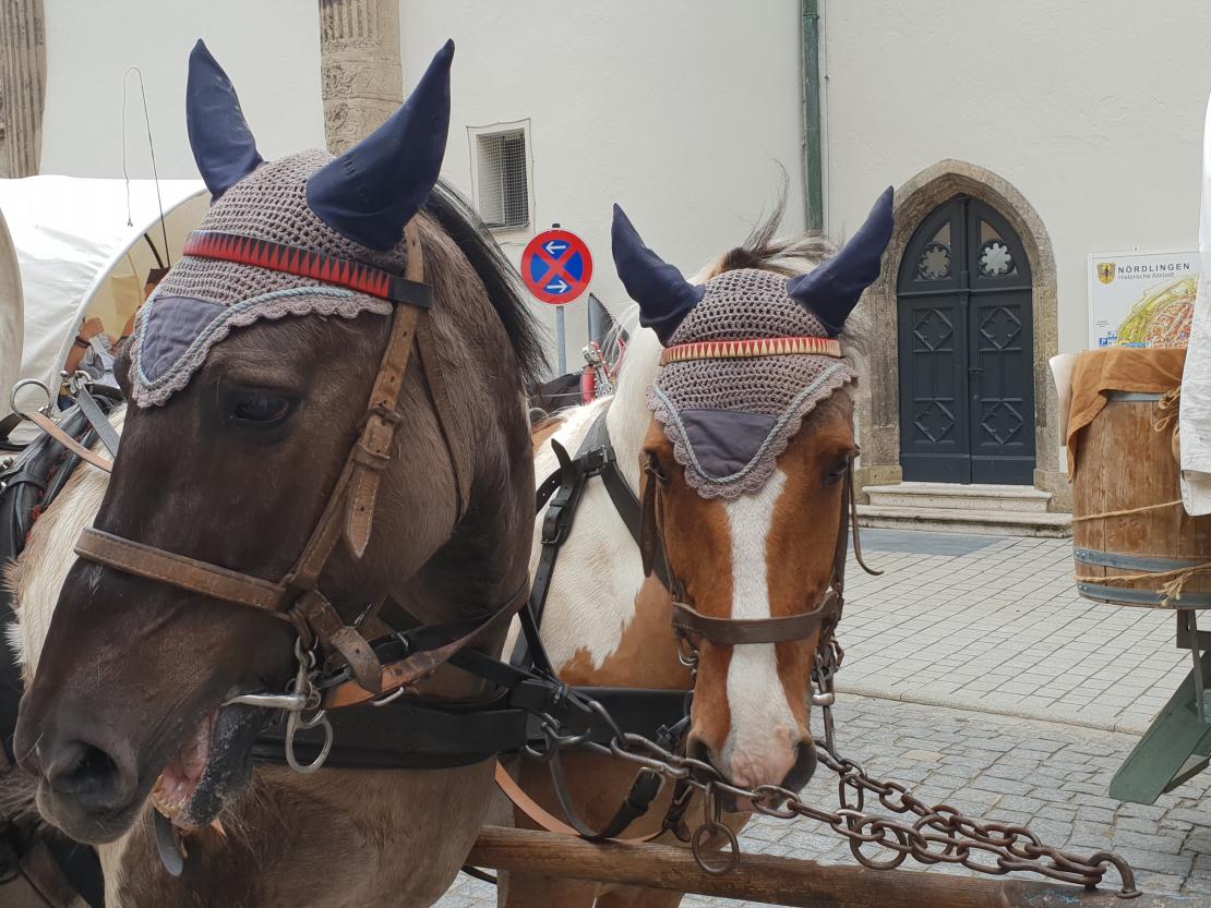 Kaufmannszug Nördlingen 