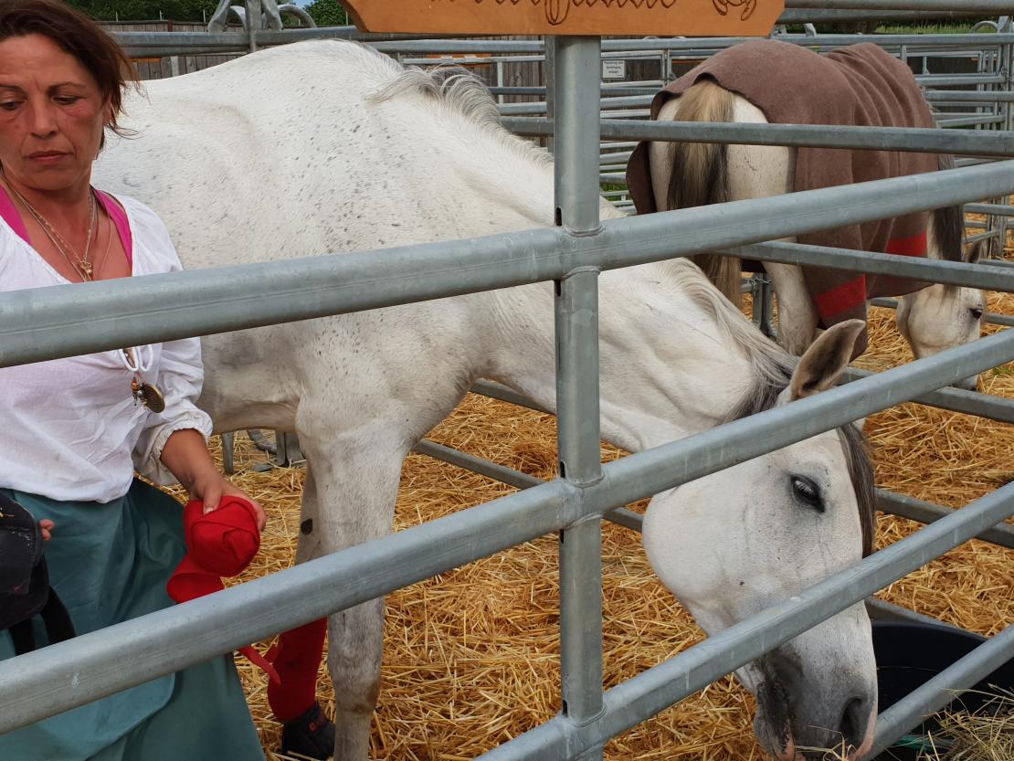 Kaufmannszug Nördlingen
