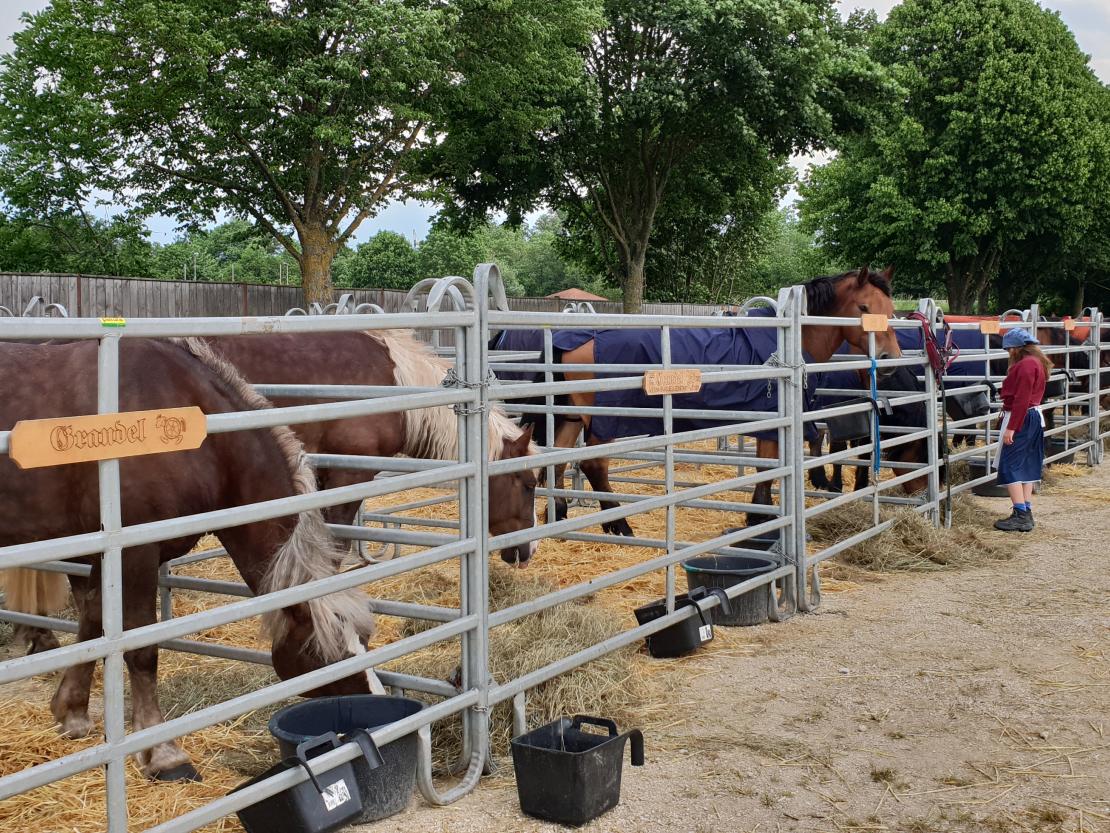 Kaufmannszug Nördlingen