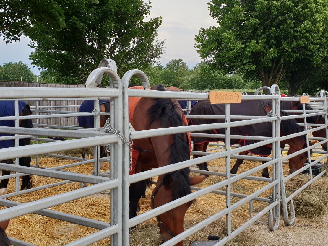 Kaufmannszug Nördlingen