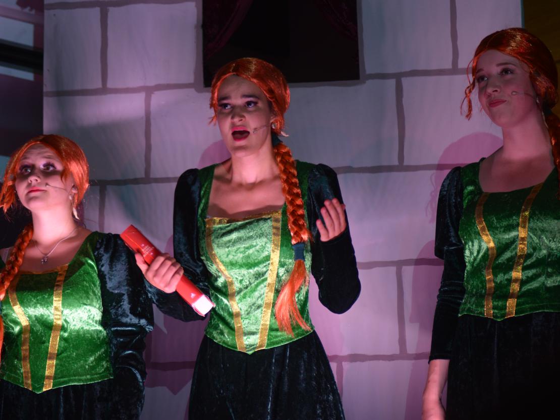 Musical Company Shrek