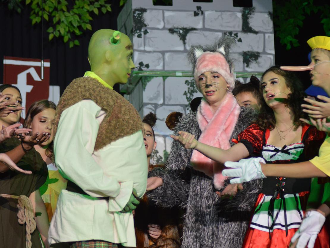 Musical Company Shrek