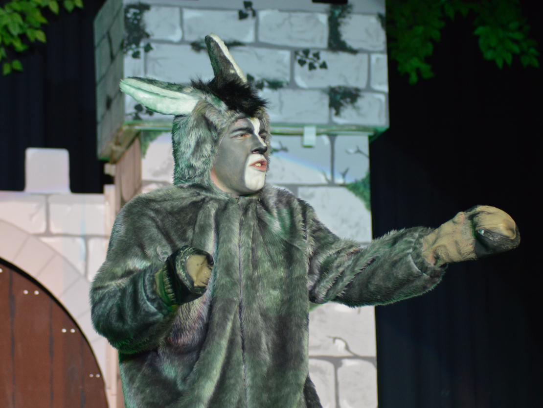 Musical Company Shrek
