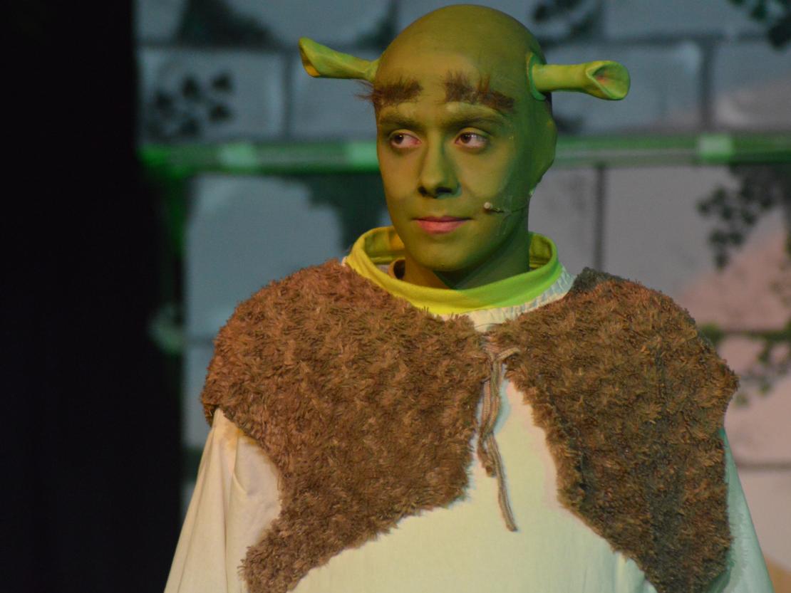 Musical Company Shrek