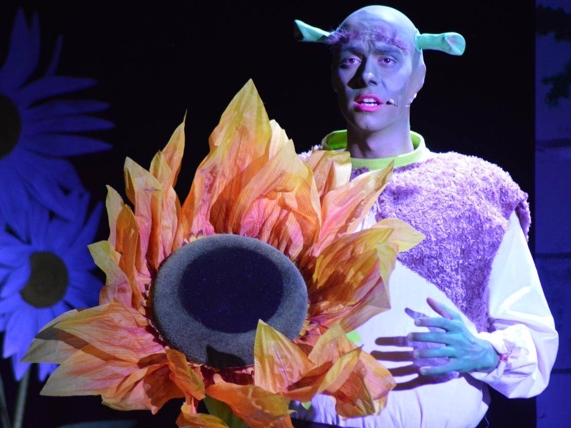 Musical Company Shrek