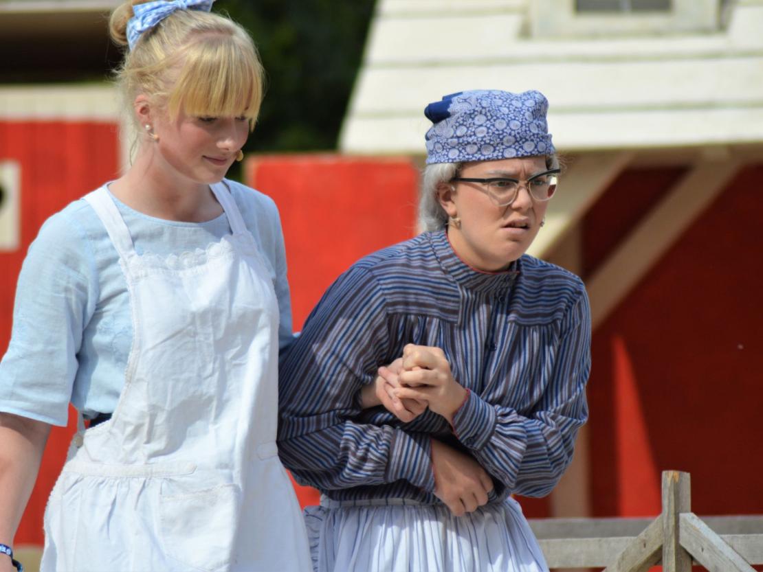 Theater Donauwörth 2019 Michel in der Suppenschüssel