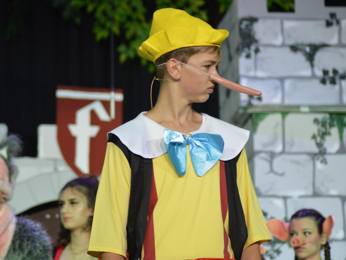 Musical Company Shrek