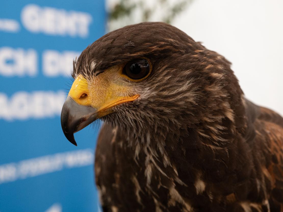 Waldbesitzertag Nordschwaben 