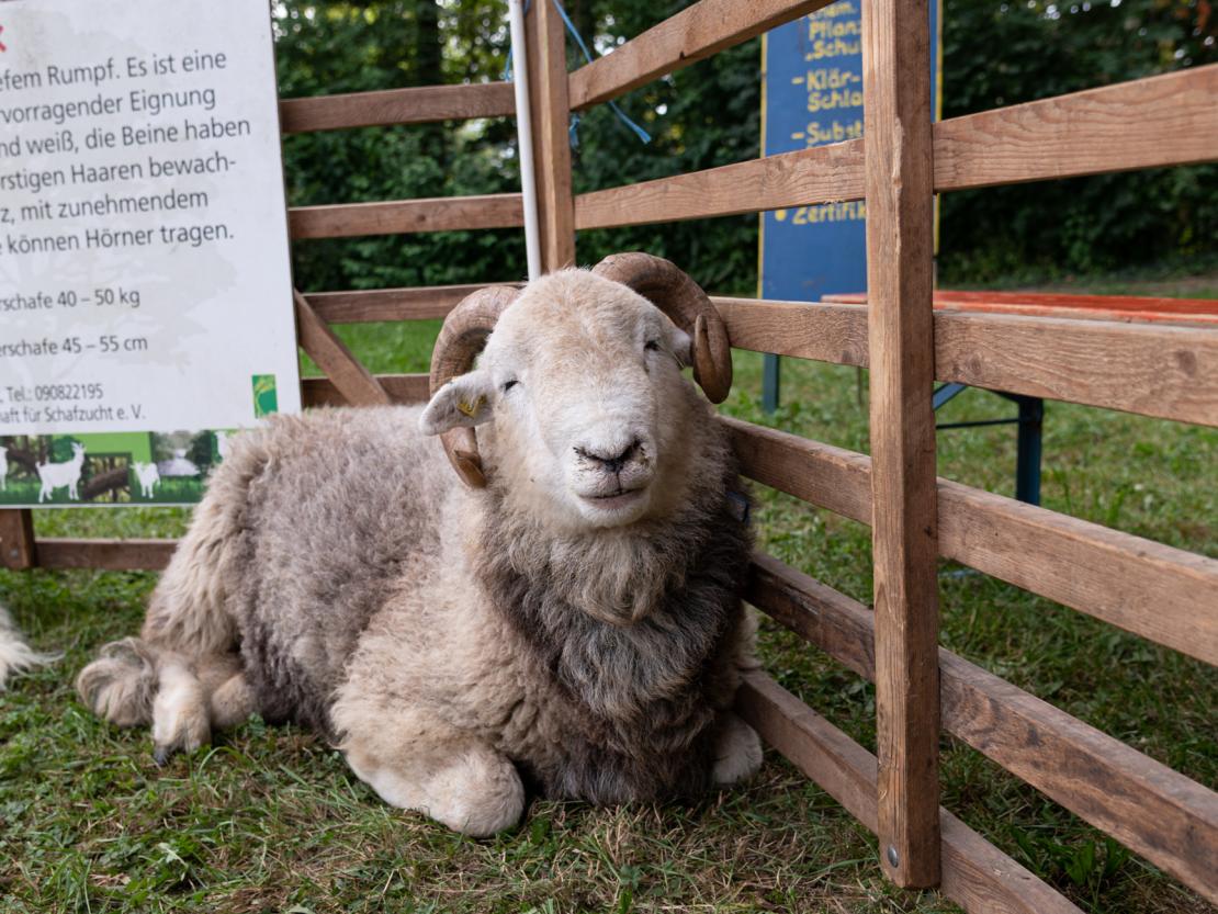 Waldbesitzertag Nordschwaben 