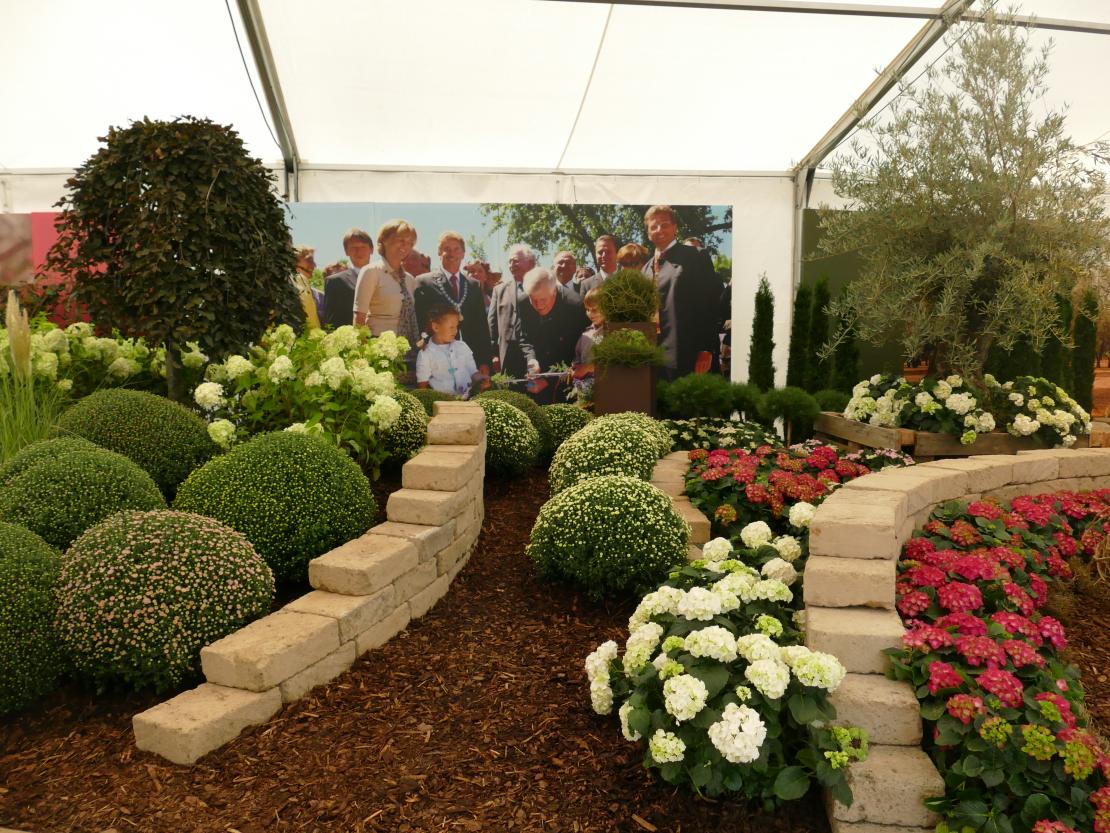 10 Jahre Natur in Rain