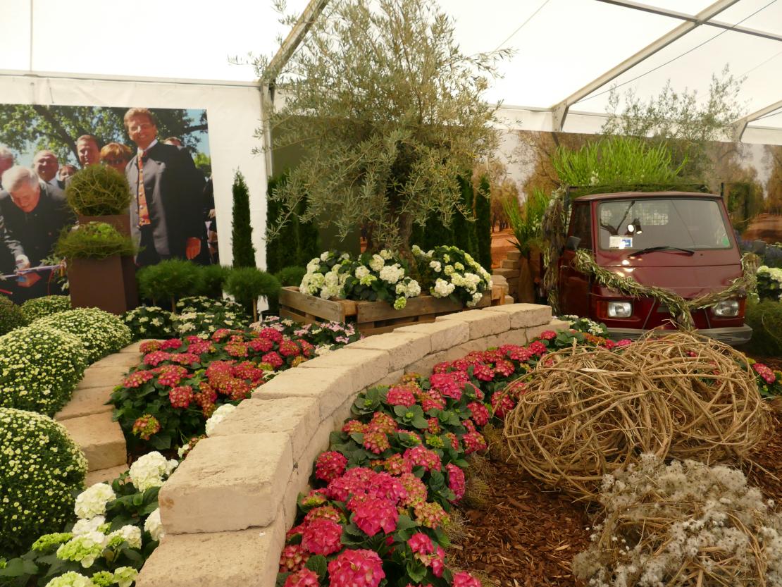Am Wochenende findet das Fest "10 Jahre Natur in Rain statt". Am vergangenen Freitagabend ließen die Verantwortlichen bei einem Festabend die Erinnerungen an die kleine Landesgartenschau 2009 aufleben. 