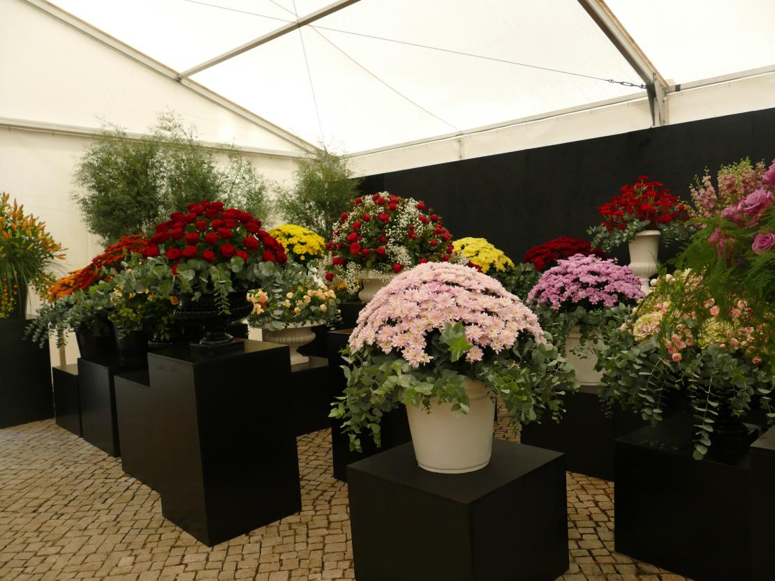 10 Jahre Natur in Rain