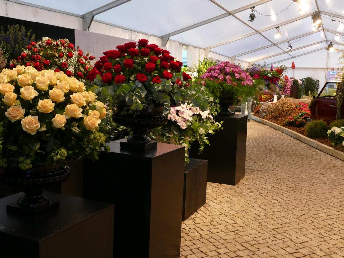 10 Jahre Natur in Rain