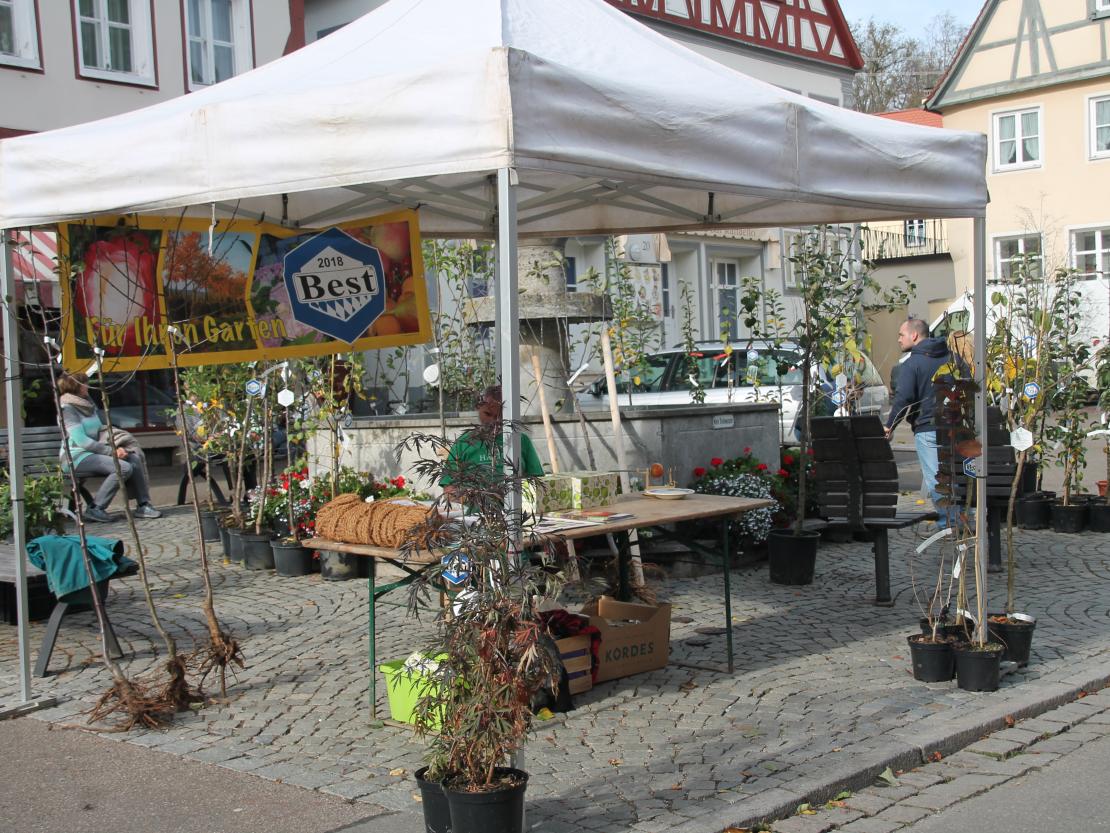 Apfelmarkt 2019 Oettingen