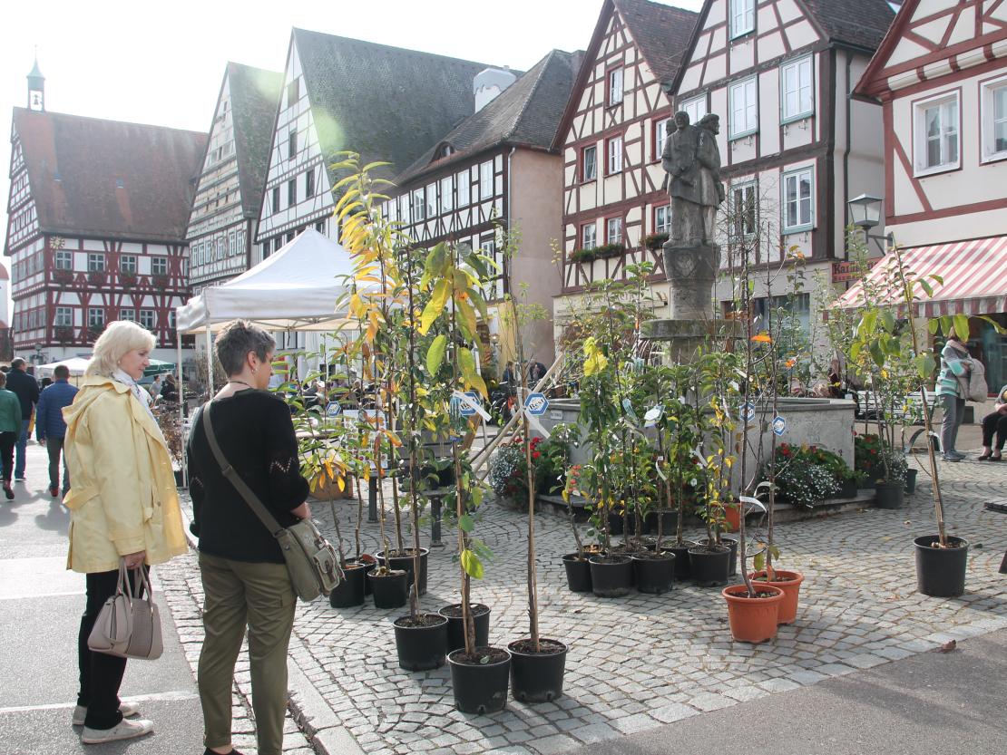 Apfelmarkt 2019 Oettingen