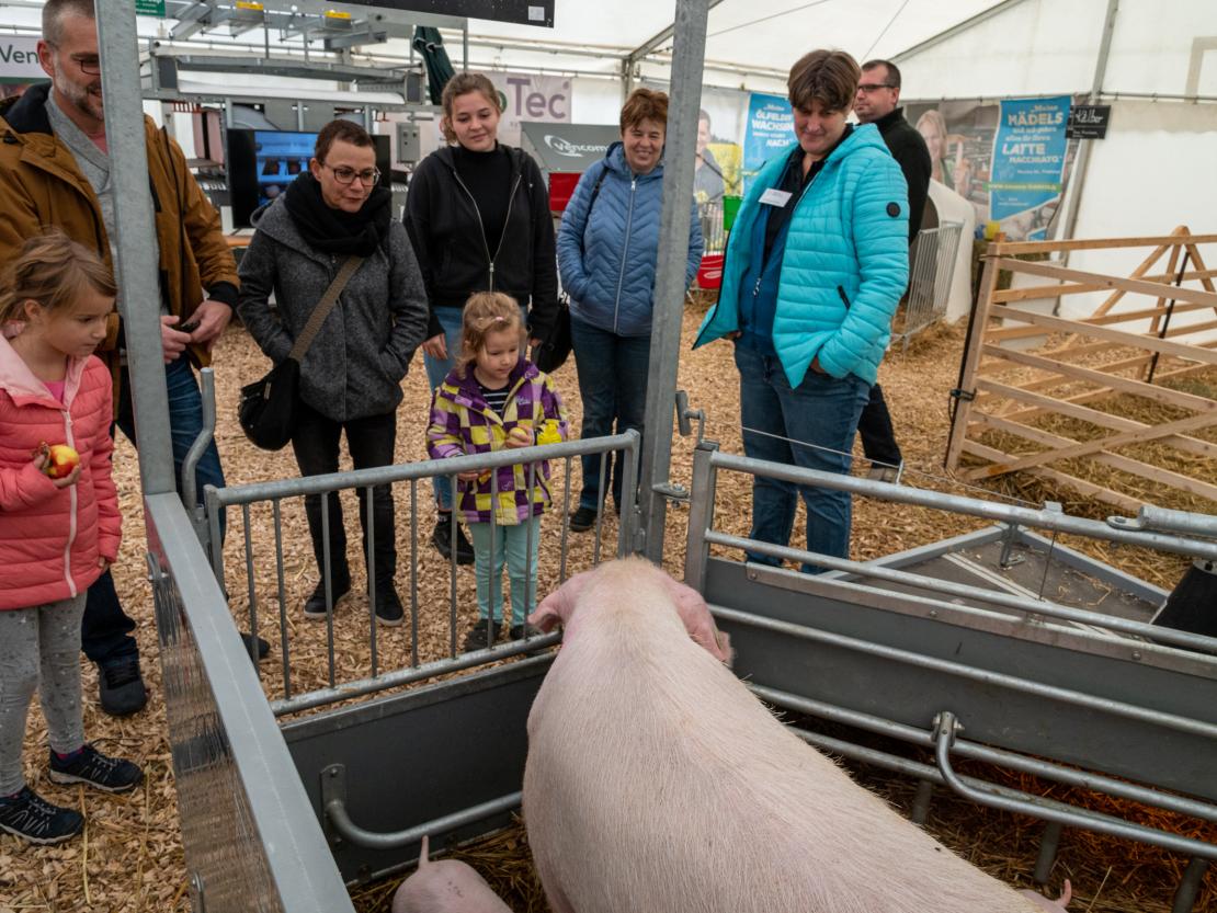 Donauries Ausstellung 2019 