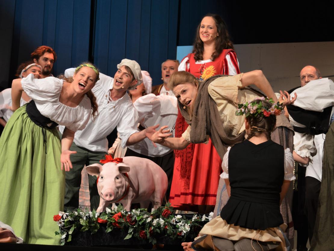 Dramatisches Ensemble Nördlingen 2019