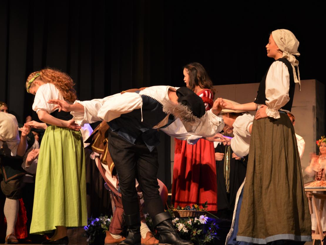 Dramatisches Ensemble Nördlingen 2019