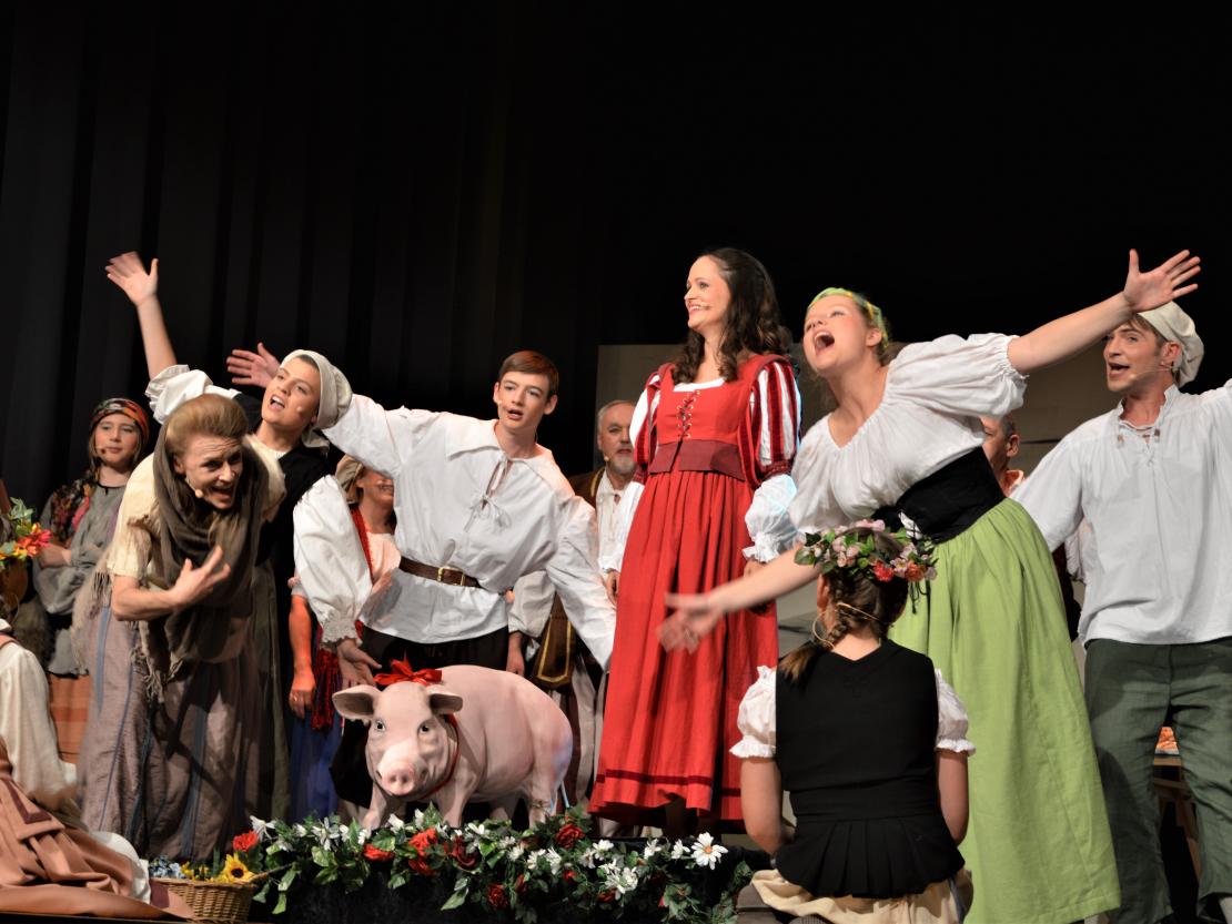 Dramatisches Ensemble Nördlingen 2019