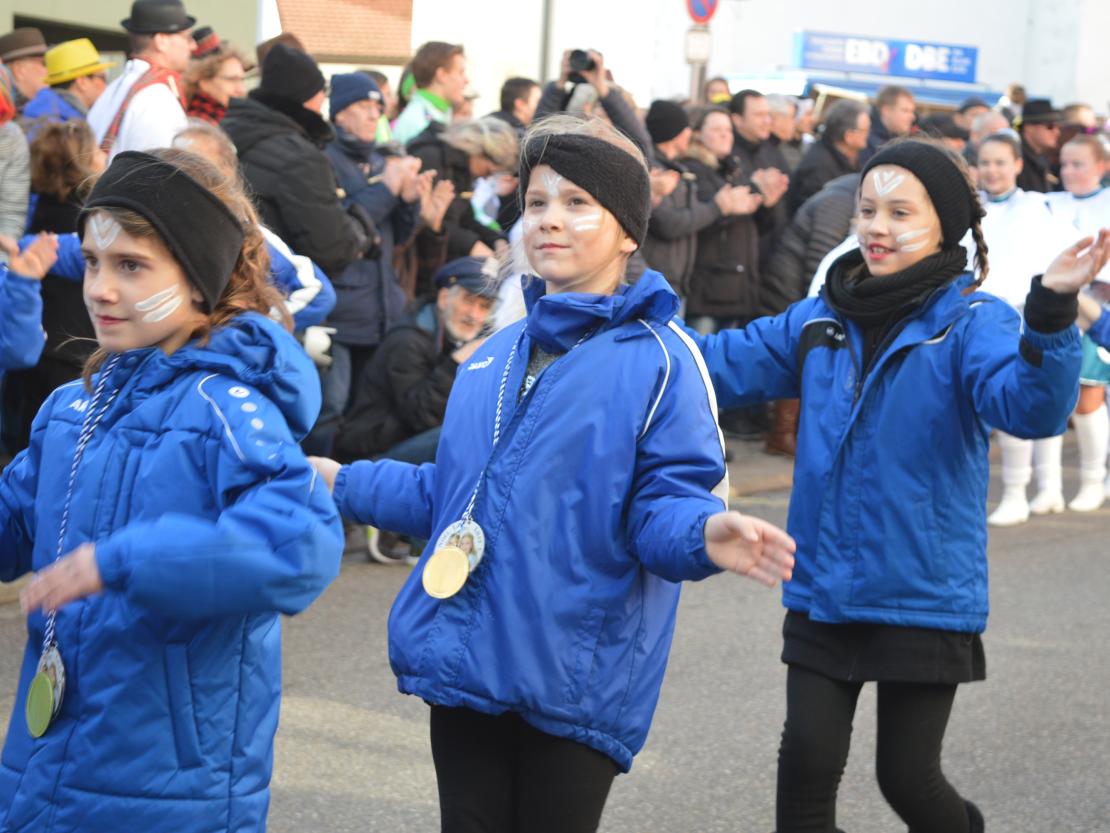 Faschingsumzug Donauwörth 2020